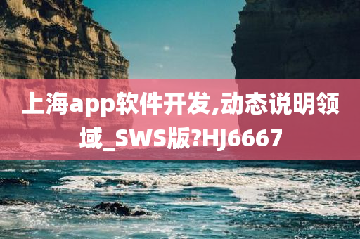 上海app软件开发,动态说明领域_SWS版?HJ6667