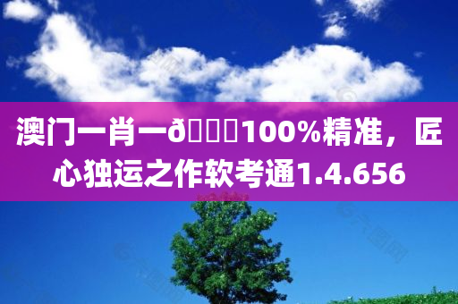 澳门一肖一🐎100%精准，匠心独运之作软考通1.4.656