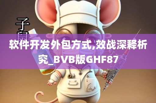 软件开发外包方式,效战深释析究_BVB版GHF87