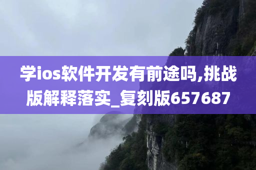 学ios软件开发有前途吗,挑战版解释落实_复刻版657687