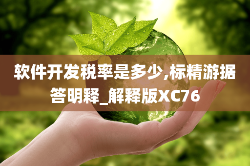 软件开发税率是多少,标精游据答明释_解释版XC76