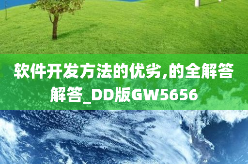 软件开发方法的优劣,的全解答解答_DD版GW5656