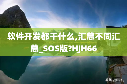 软件开发都干什么,汇总不同汇总_SOS版?HJH66