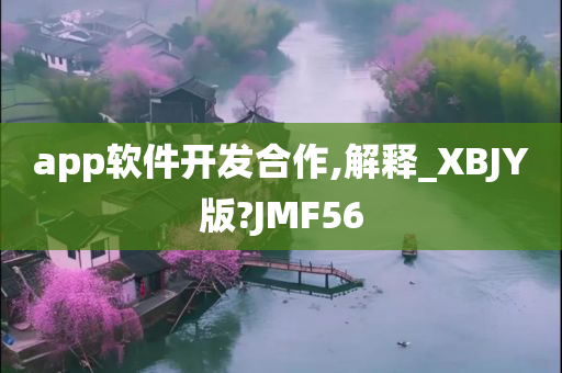 app软件开发合作,解释_XBJY版?JMF56