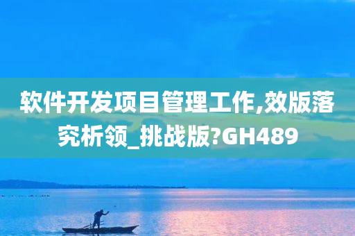 软件开发项目管理工作,效版落究析领_挑战版?GH489