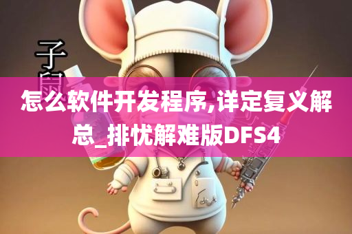 怎么软件开发程序,详定复义解总_排忧解难版DFS4