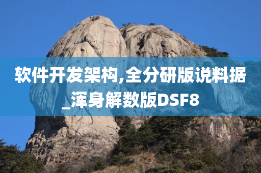 软件开发架构,全分研版说料据_浑身解数版DSF8