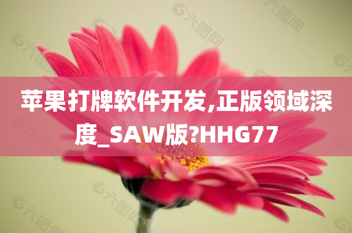 苹果打牌软件开发,正版领域深度_SAW版?HHG77