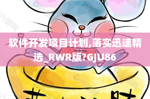 软件开发项目计划,落实迅速精选_RWR版?GJU86