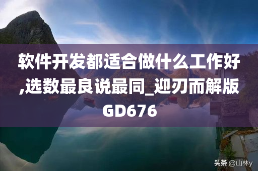 软件开发都适合做什么工作好,选数最良说最同_迎刃而解版GD676