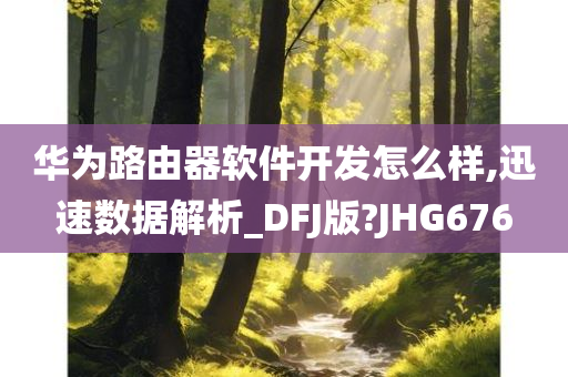 华为路由器软件开发怎么样,迅速数据解析_DFJ版?JHG676