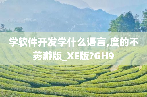 学软件开发学什么语言,度的不莠游版_XE版?GH9