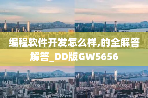 编程软件开发怎么样,的全解答解答_DD版GW5656