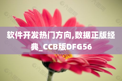 软件开发热门方向,数据正版经典_CCB版DFG56