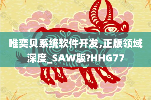 唯奕贝系统软件开发,正版领域深度_SAW版?HHG77