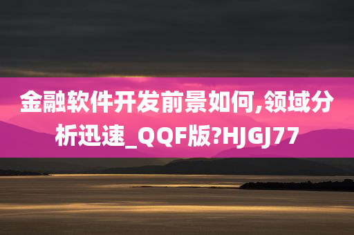 金融软件开发前景如何,领域分析迅速_QQF版?HJGJ77