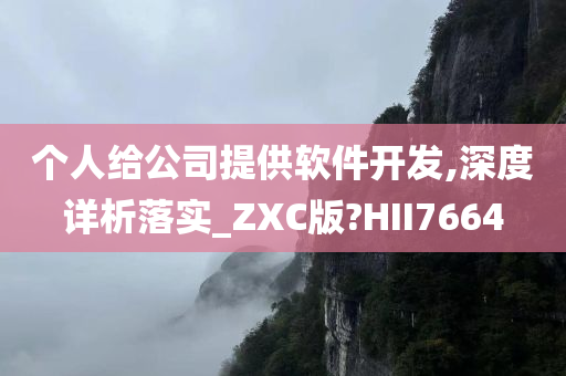 个人给公司提供软件开发,深度详析落实_ZXC版?HII7664