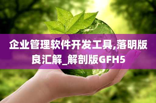 企业管理软件开发工具,落明版良汇解_解剖版GFH5