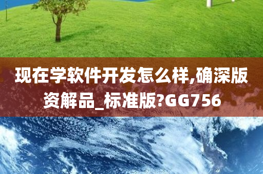 现在学软件开发怎么样,确深版资解品_标准版?GG756