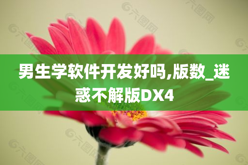 男生学软件开发好吗,版数_迷惑不解版DX4