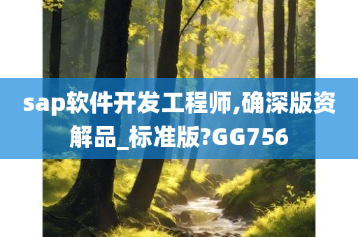 sap软件开发工程师,确深版资解品_标准版?GG756