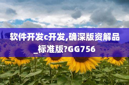 软件开发c开发,确深版资解品_标准版?GG756