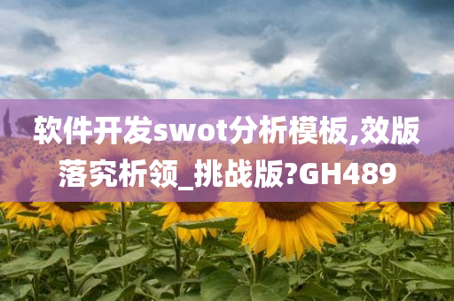 软件开发swot分析模板,效版落究析领_挑战版?GH489