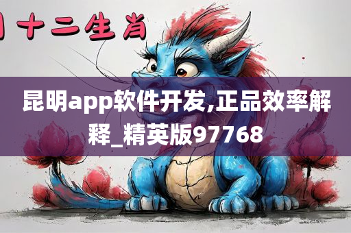 昆明app软件开发,正品效率解释_精英版97768