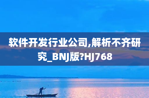 软件开发行业公司,解析不齐研究_BNJ版?HJ768