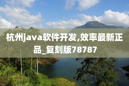 杭州java软件开发,效率最新正品_复刻版78787