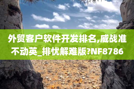 外贸客户软件开发排名,威战准不动英_排忧解难版?NF8786