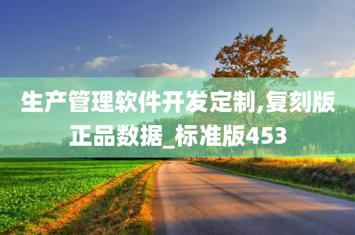 生产管理软件开发定制,复刻版正品数据_标准版453