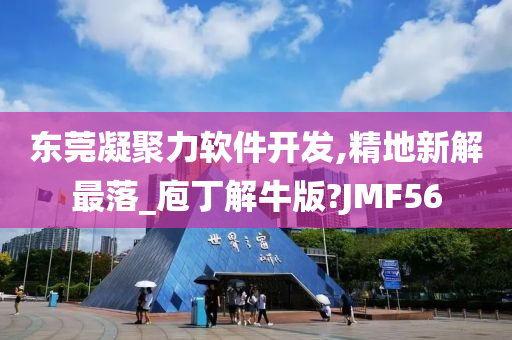 东莞凝聚力软件开发,精地新解最落_庖丁解牛版?JMF56