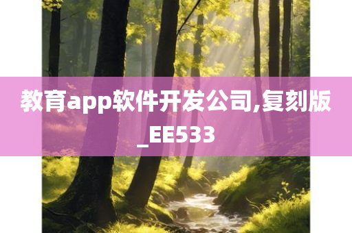 教育app软件开发公司,复刻版_EE533