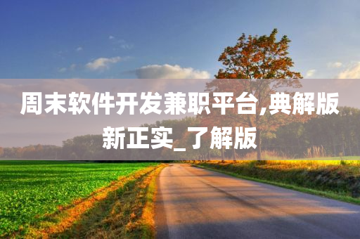 周末软件开发兼职平台,典解版新正实_了解版