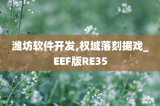 潍坊软件开发,权域落刻据戏_EEF版RE35