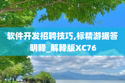 软件开发招聘技巧,标精游据答明释_解释版XC76