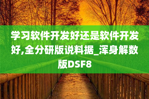 学习软件开发好还是软件开发好,全分研版说料据_浑身解数版DSF8