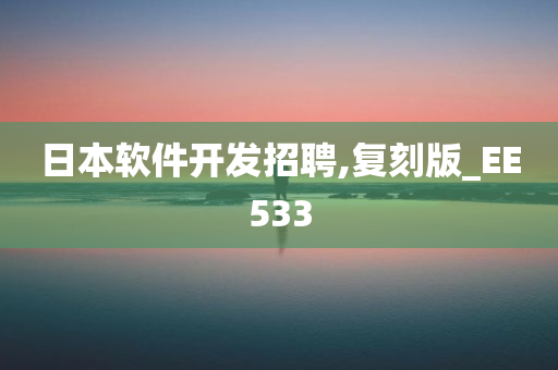 日本软件开发招聘,复刻版_EE533