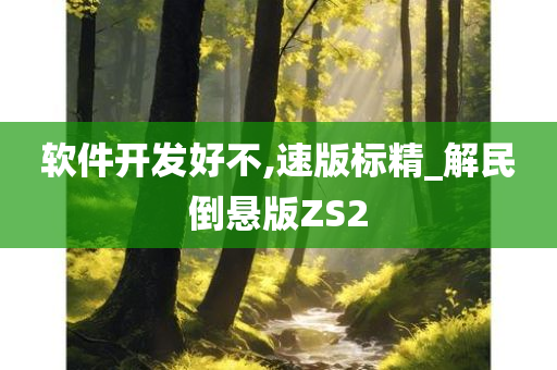 软件开发好不,速版标精_解民倒悬版ZS2