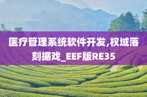 医疗管理系统软件开发,权域落刻据戏_EEF版RE35