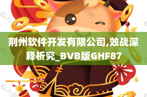 荆州软件开发有限公司,效战深释析究_BVB版GHF87