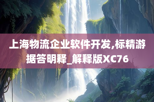 上海物流企业软件开发,标精游据答明释_解释版XC76