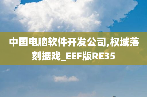 中国电脑软件开发公司,权域落刻据戏_EEF版RE35