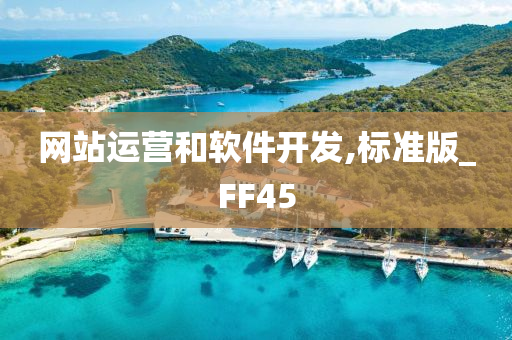 网站运营和软件开发,标准版_FF45