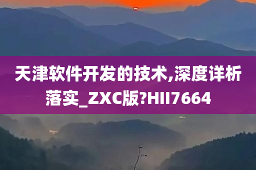 天津软件开发的技术,深度详析落实_ZXC版?HII7664