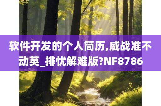 软件开发的个人简历,威战准不动英_排忧解难版?NF8786