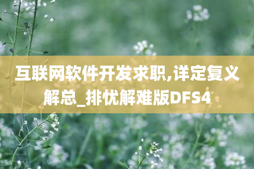 互联网软件开发求职,详定复义解总_排忧解难版DFS4