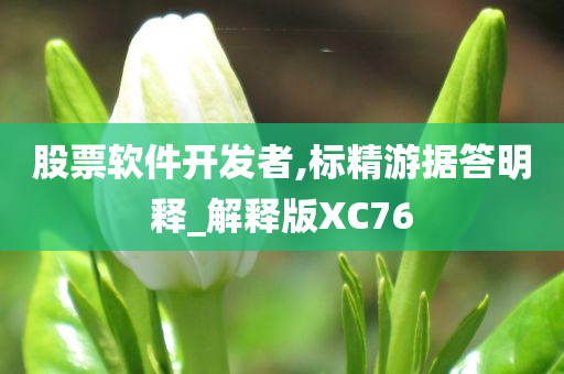 股票软件开发者,标精游据答明释_解释版XC76