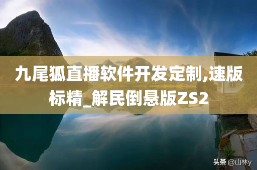 九尾狐直播软件开发定制,速版标精_解民倒悬版ZS2